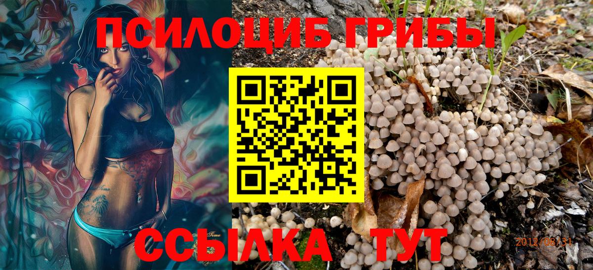 Галлюциногенные грибы GOLDEN TEACHER Южно-Сахалинск